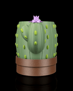 Bloom Signal – Planter