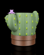 Bloom Signal – Planter