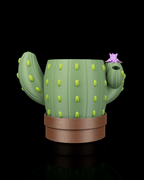 Bloom Signal – Planter