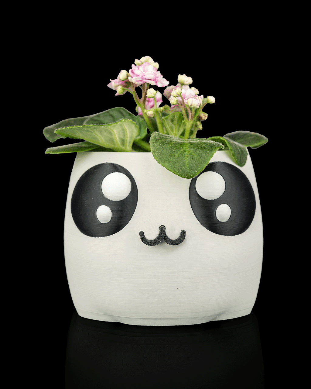 Bloop Face – Planter