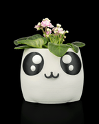 Bloop Face – Planter