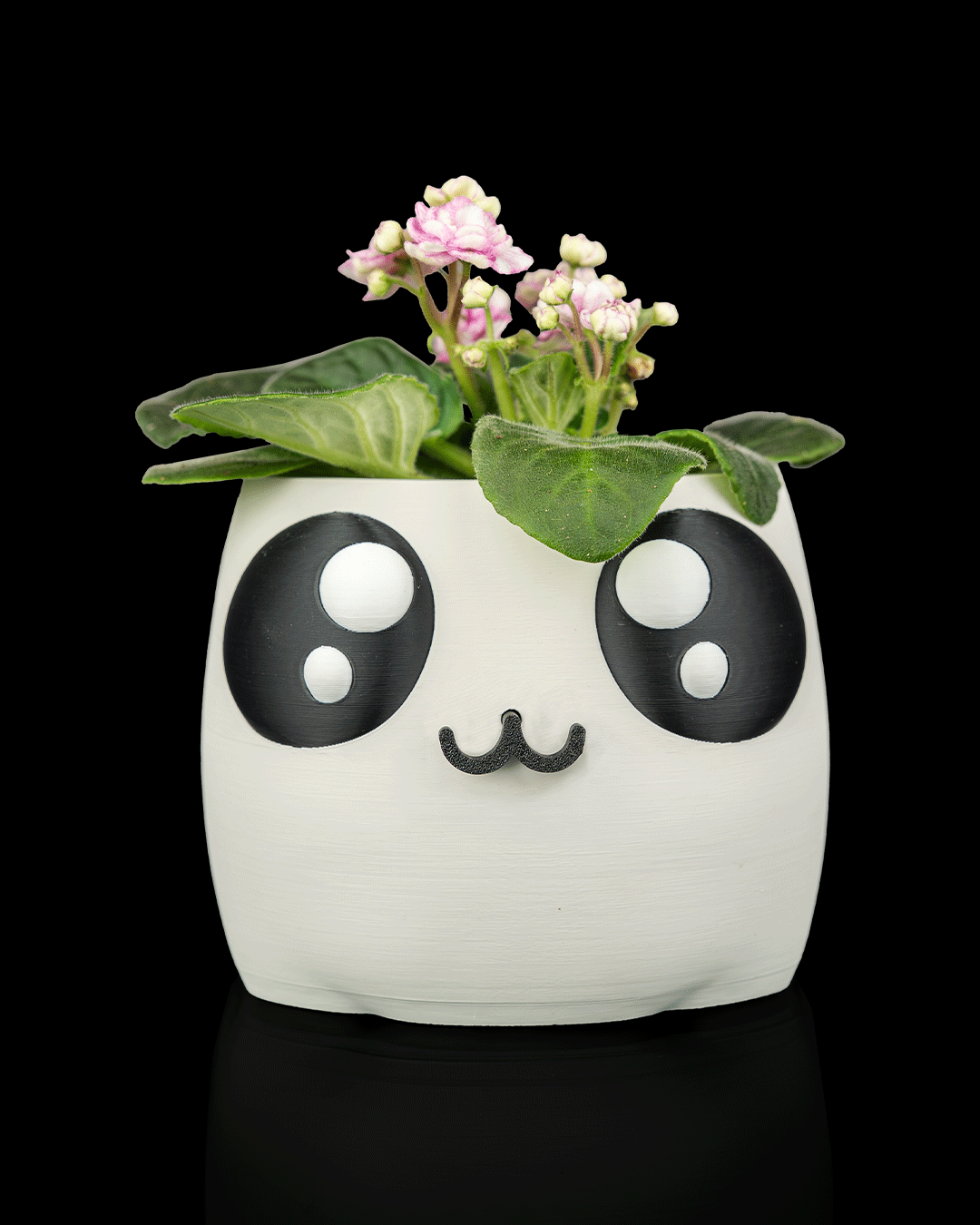 Bloop Face – Planter