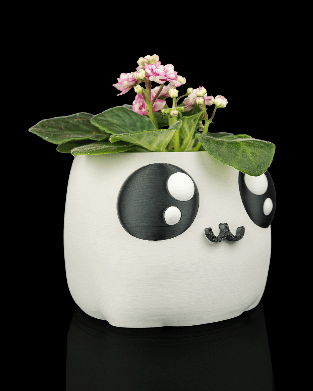 Bloop Face – Planter