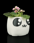 Bloop Face – Planter