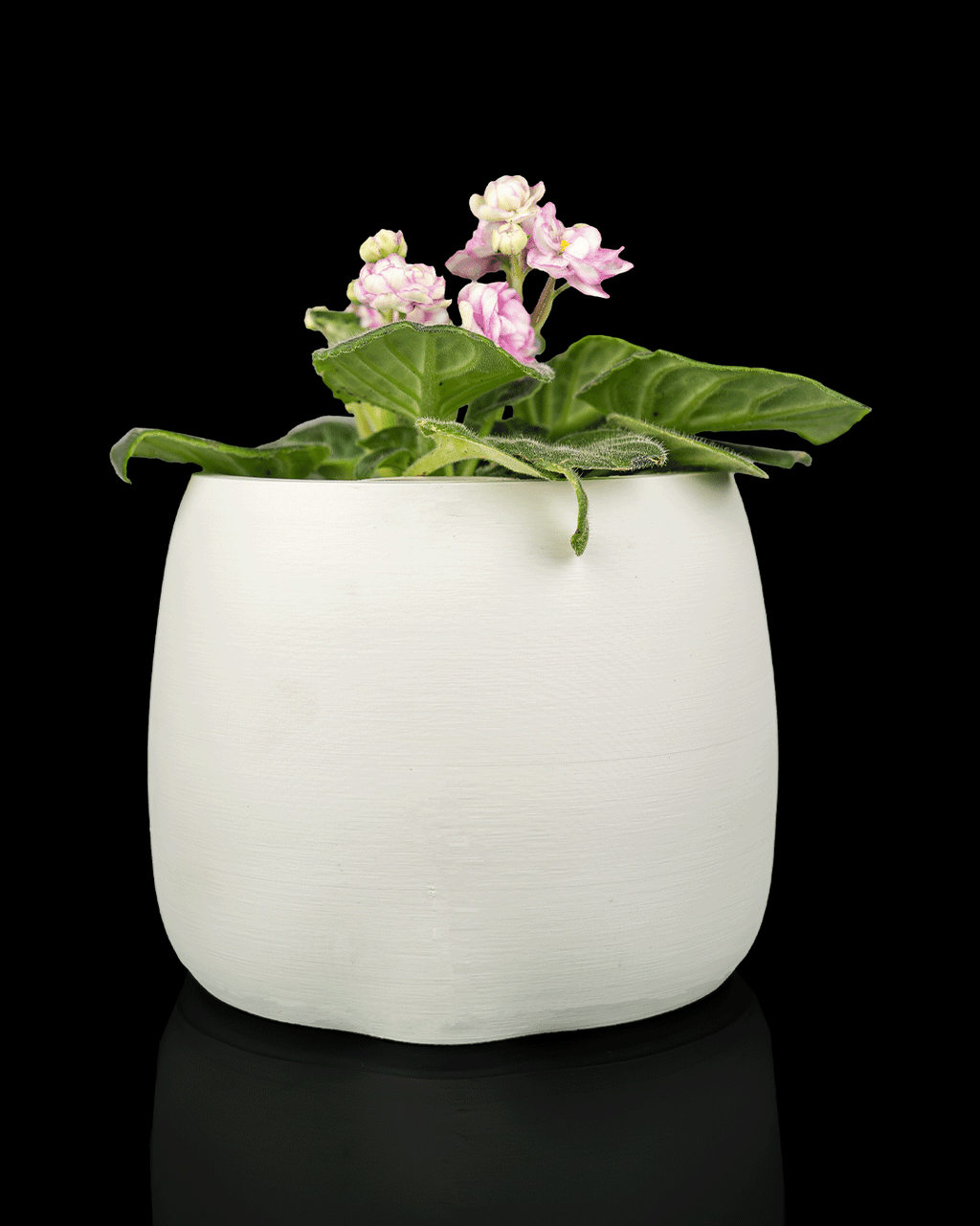 Bloop Face – Planter