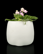 Bloop Face – Planter
