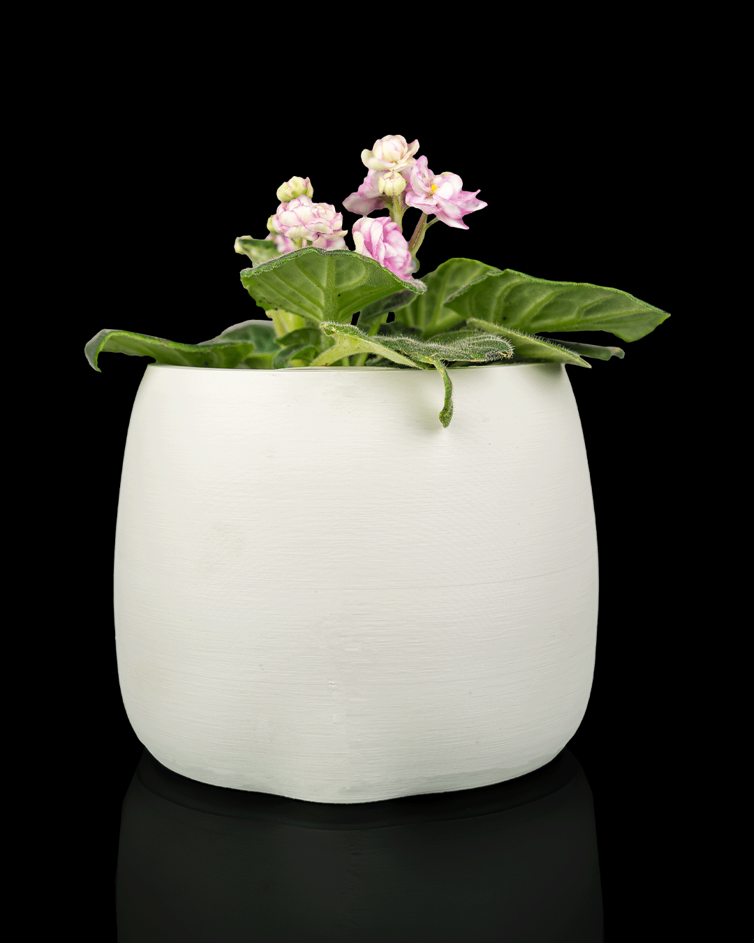 Bloop Face – Planter