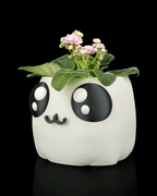 Bloop Face – Planter