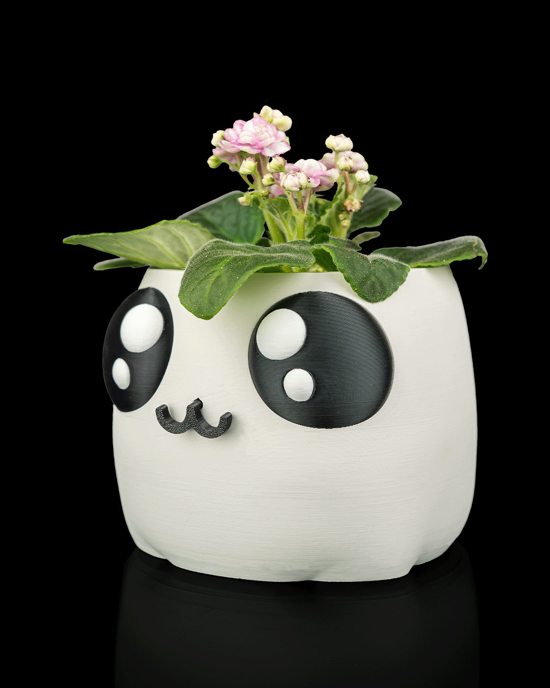 Bloop Face – Planter