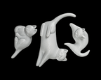 Cat Packing Puzzle