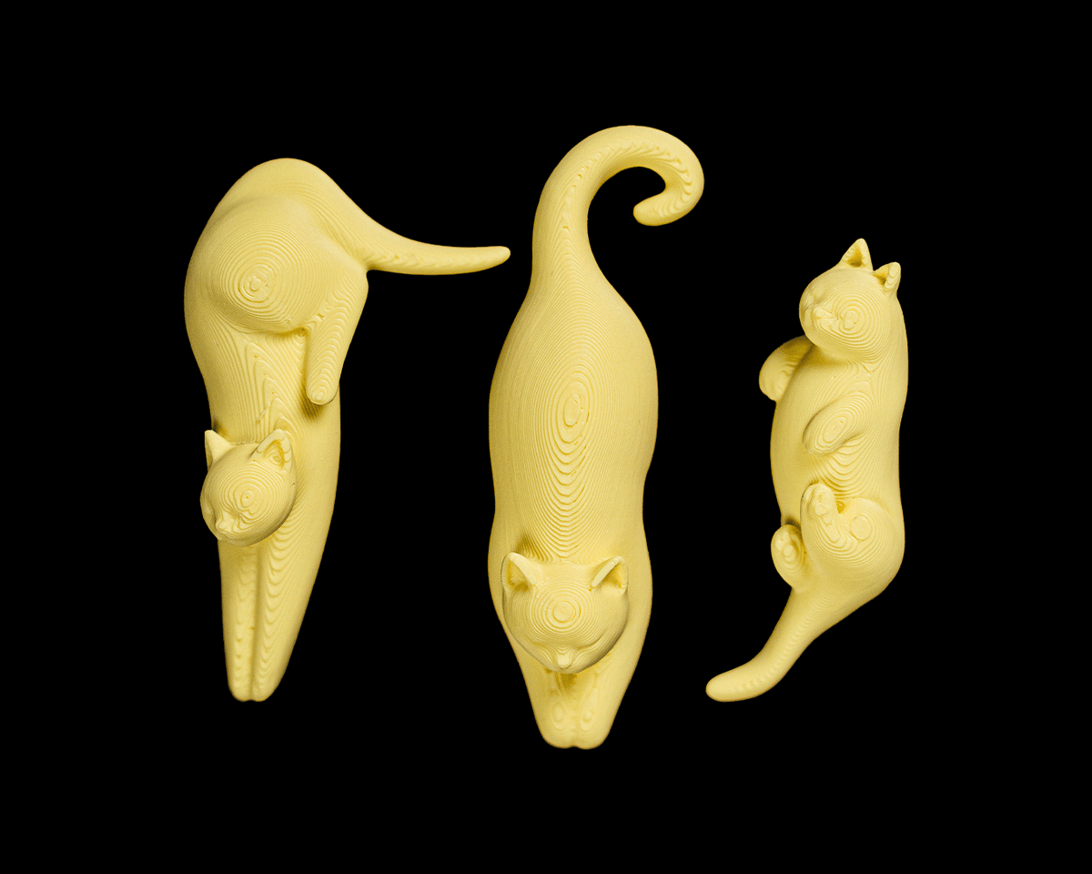 Cat Packing Puzzle