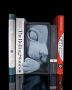 Cat’s Curiosity Book Nook