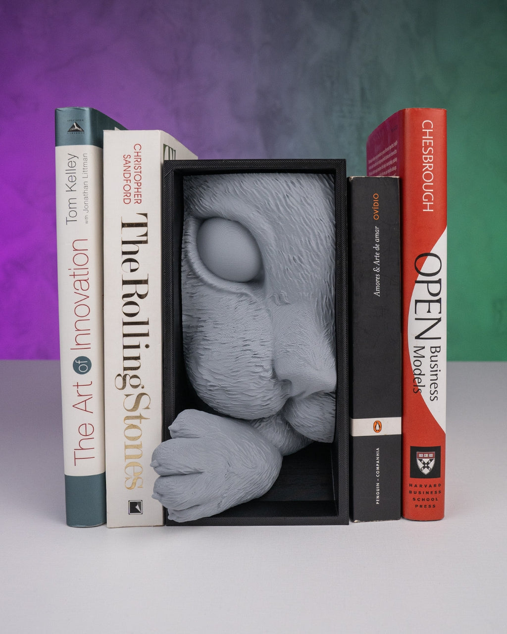 Cat’s Curiosity Book Nook