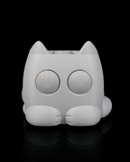 Grumpy Kitty – Planter