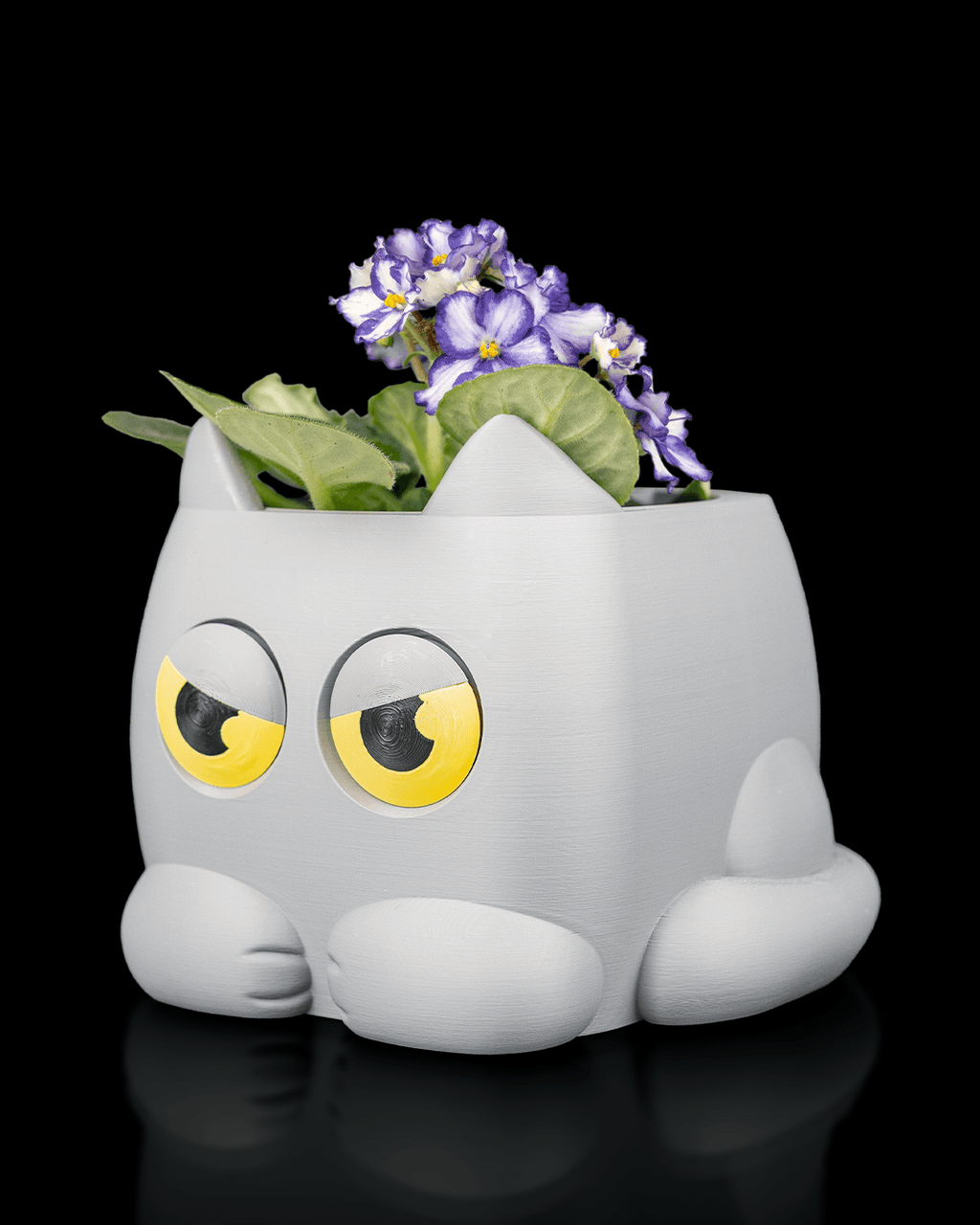 Grumpy Kitty – Planter