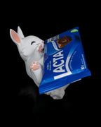 Hungry Rabbit