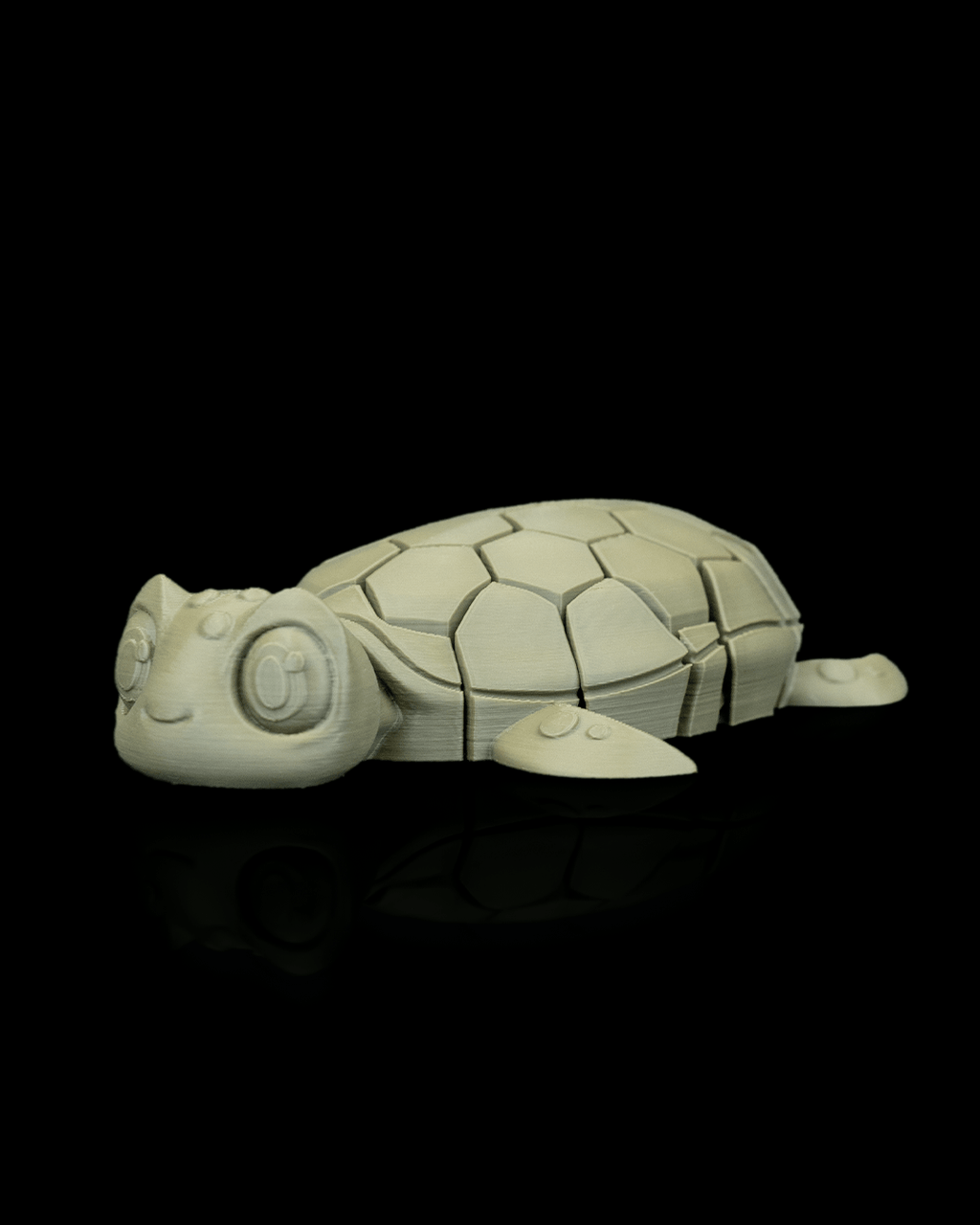 Myrtle, the Turtle