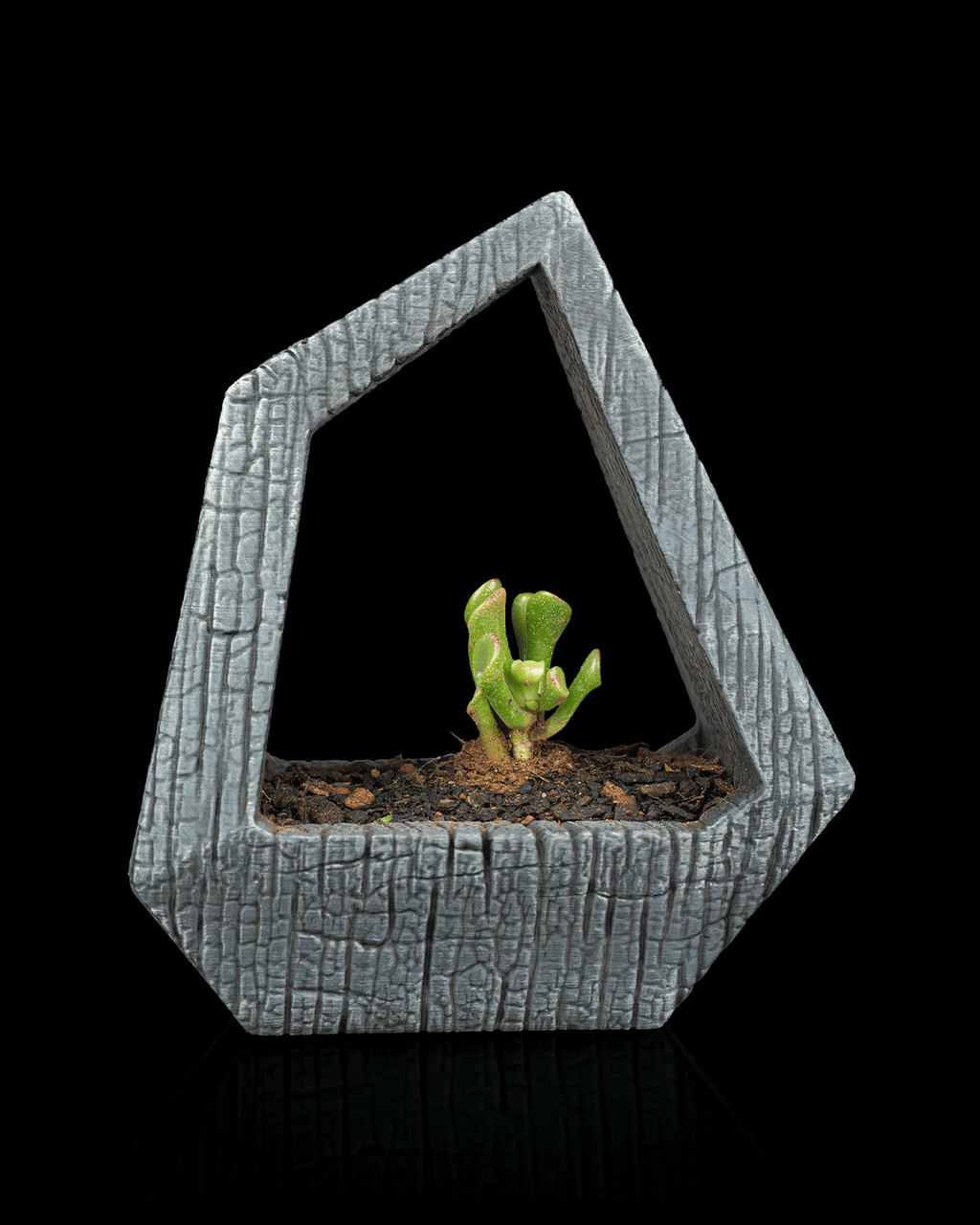 Obsidian Frame – Self-Watering Planter