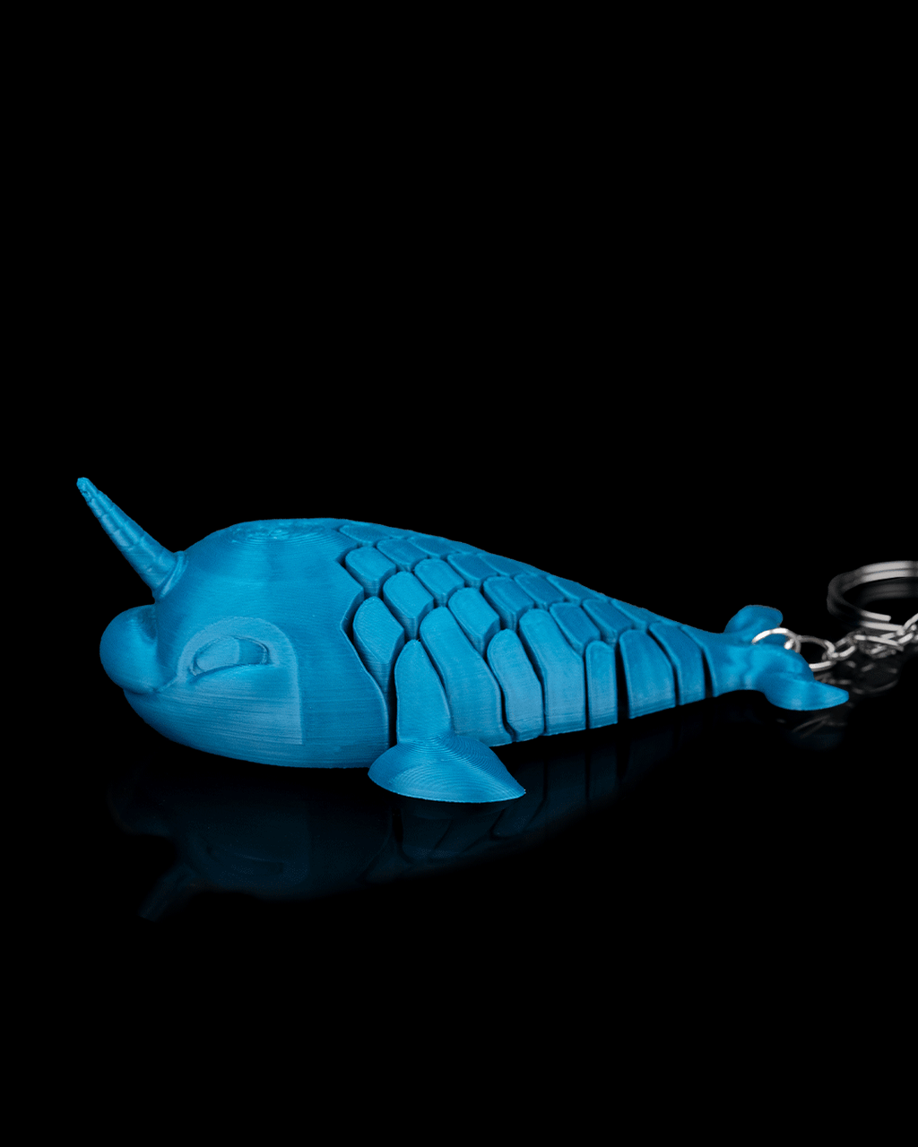 Paul, the Narwhal