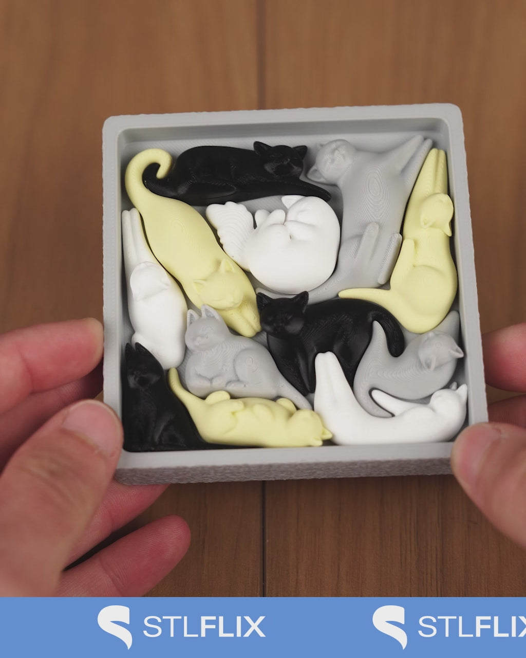 Cat Packing Puzzle