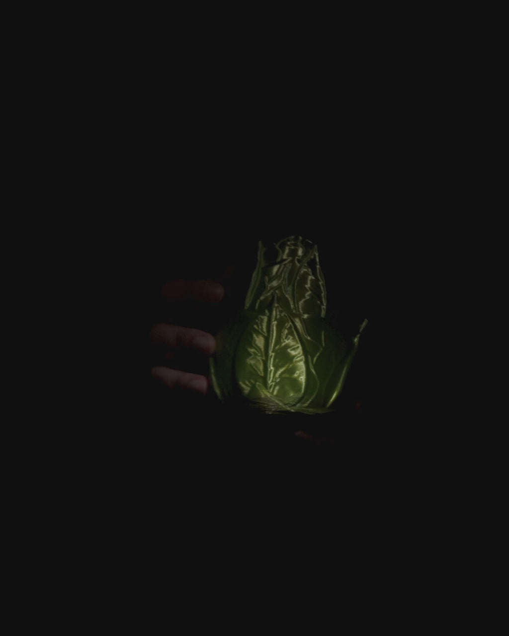 Leaf Dragon Egg