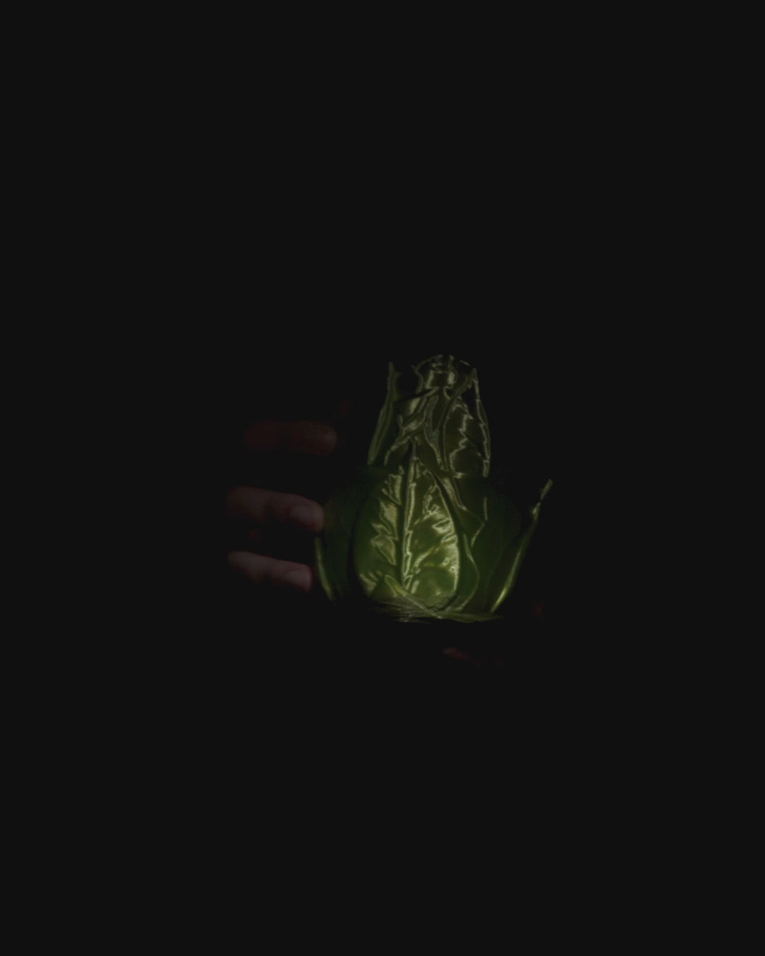 Leaf Dragon Egg